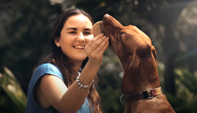 EL DETRÁS DE BARKER