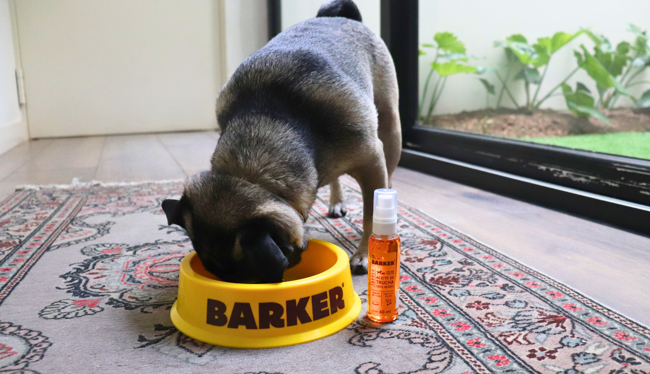 Aceite de Trucha: El suplemento ideal para tu mascota