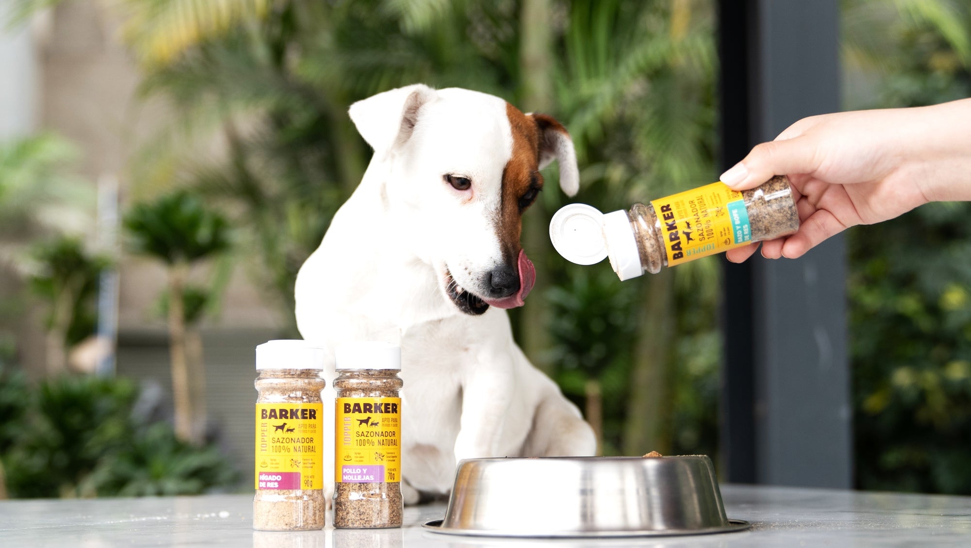 ¡Agrega más Sabor al plato de tu mascota y Potencia su Salud!