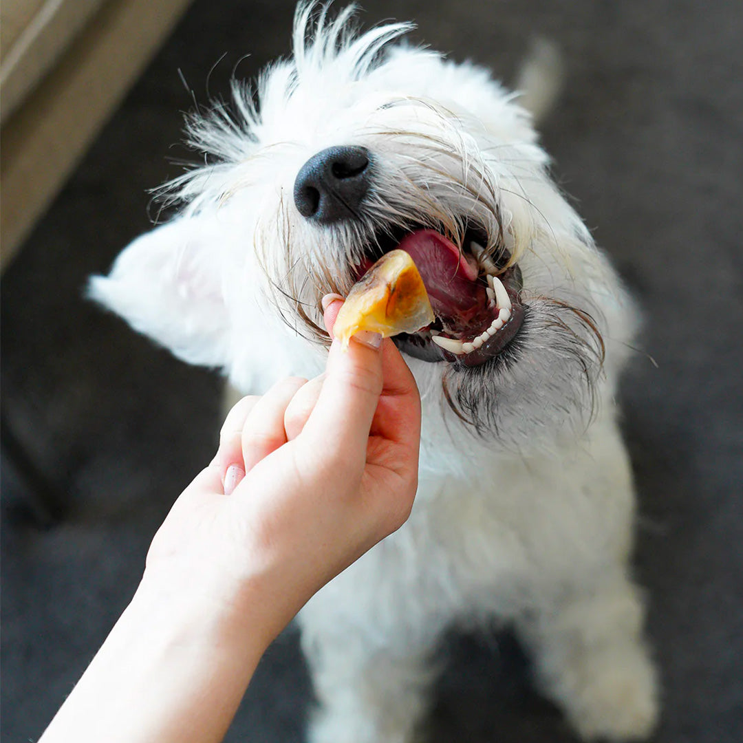 Long Lasting Snacks - Casquitos de Cerdo (30 unidades)