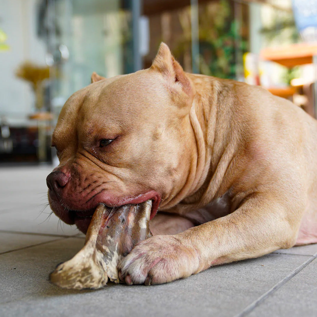 Long Lasting Snacks - Orejas de Res (3 unidades)