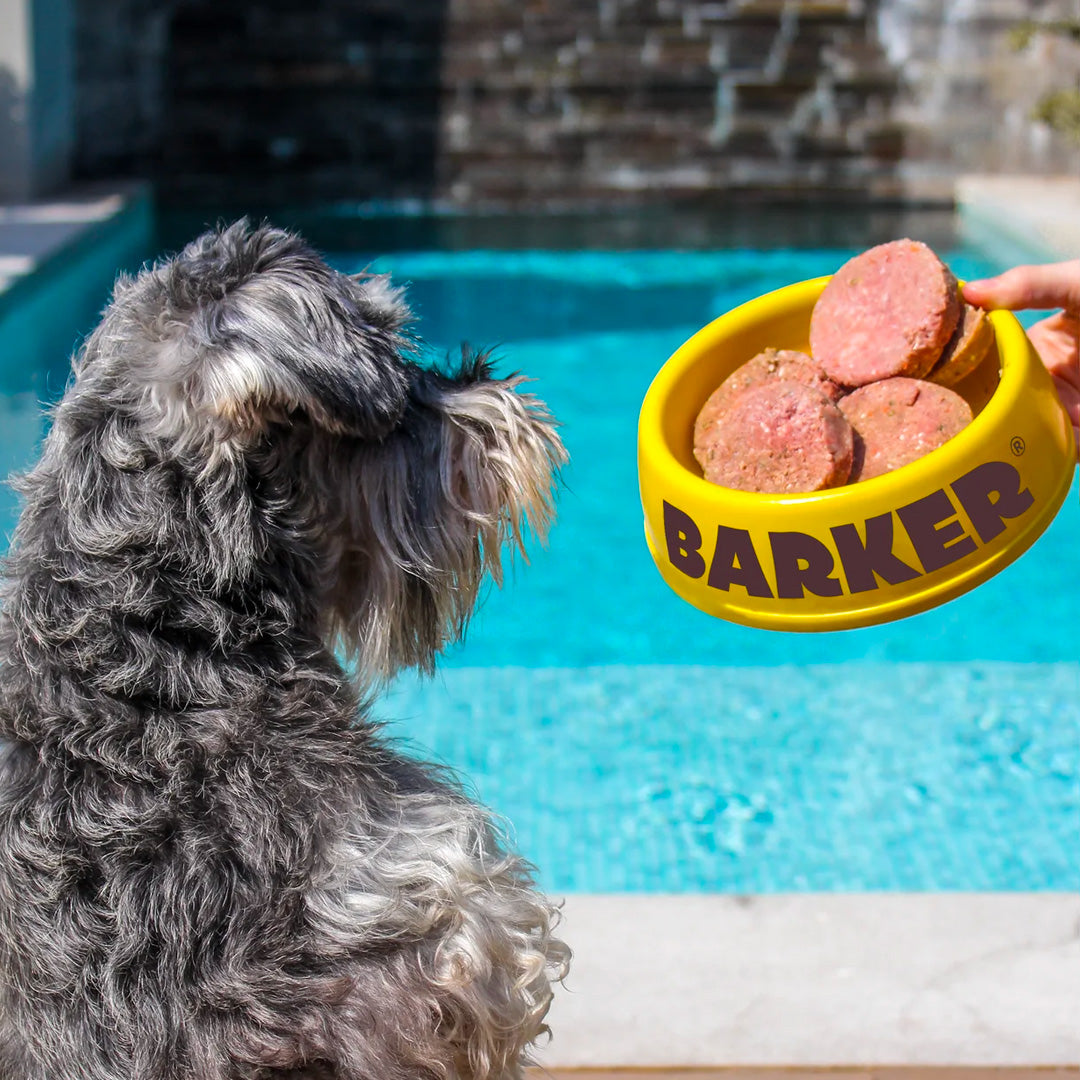 Pack de Prueba Barker Dog - Alimentación Natural