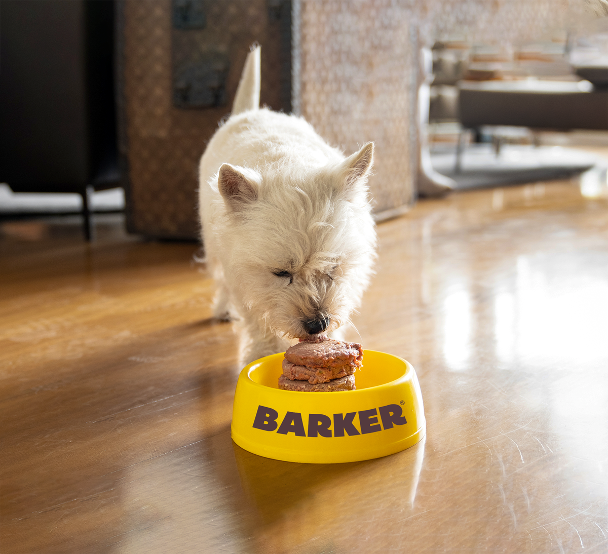 Barker Salmón 1KG (20 Hamburguesas)