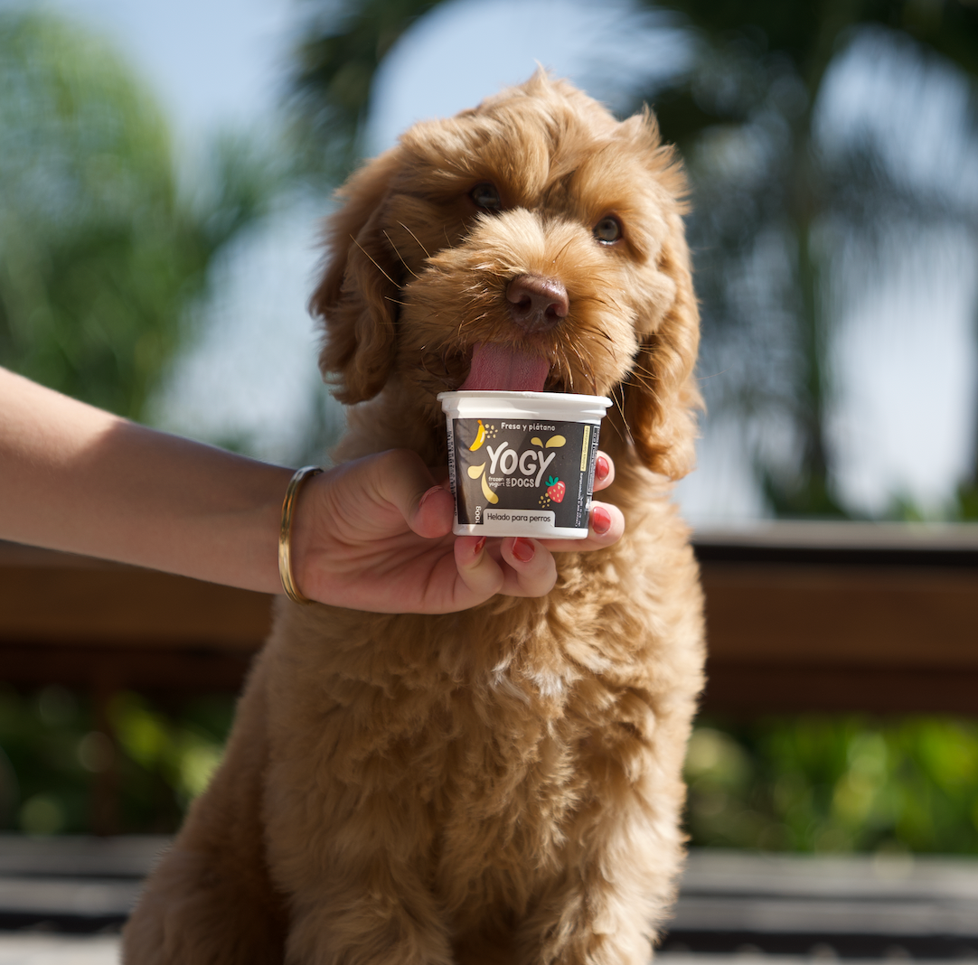 Yogy Fresas y Plátano