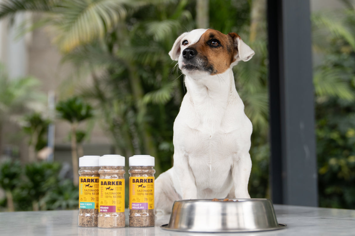 Pack Prueba Suplementos