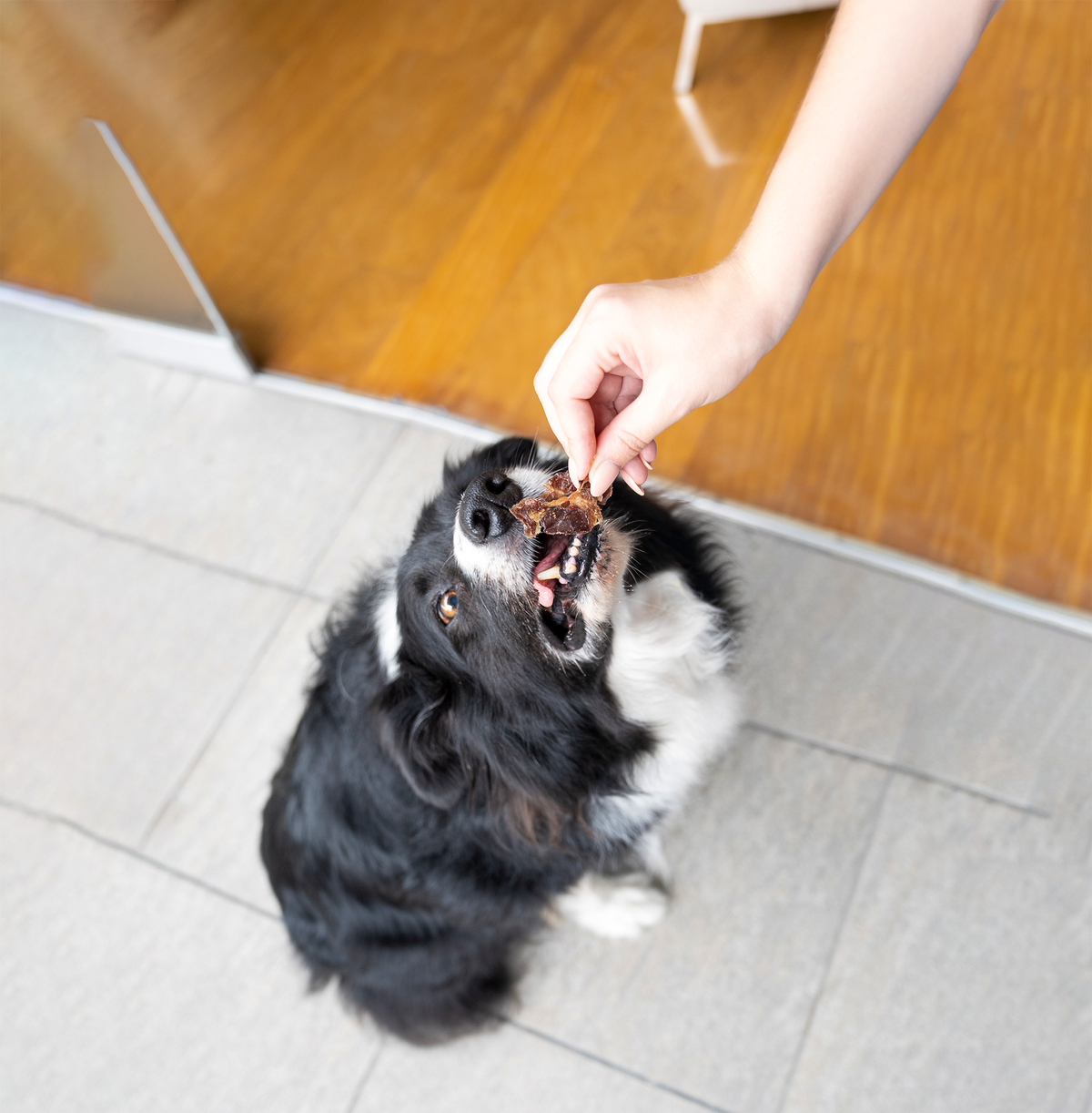 Barker Bites Mollejas de Pollo