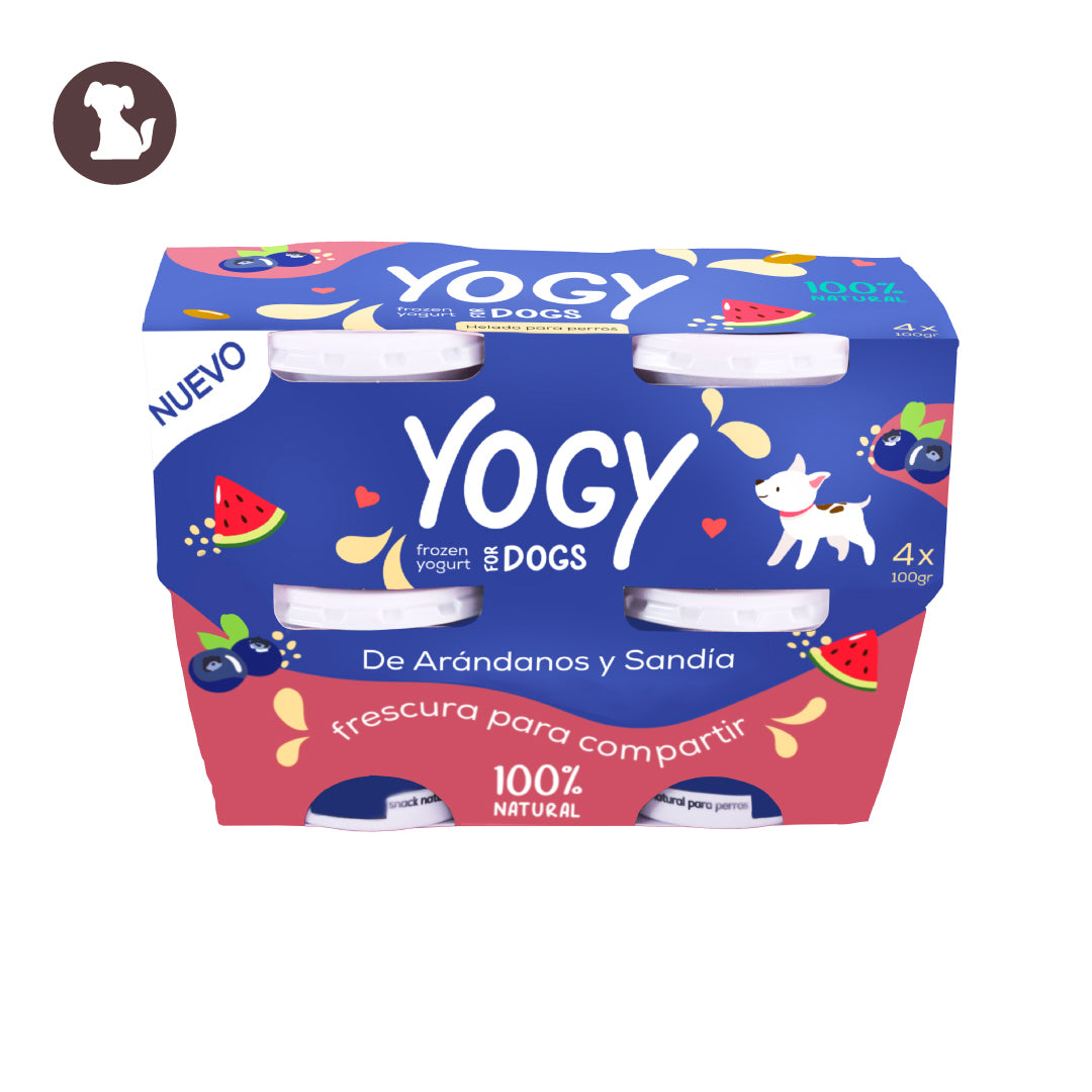 4Pack Yogy Arándanos y Sandía