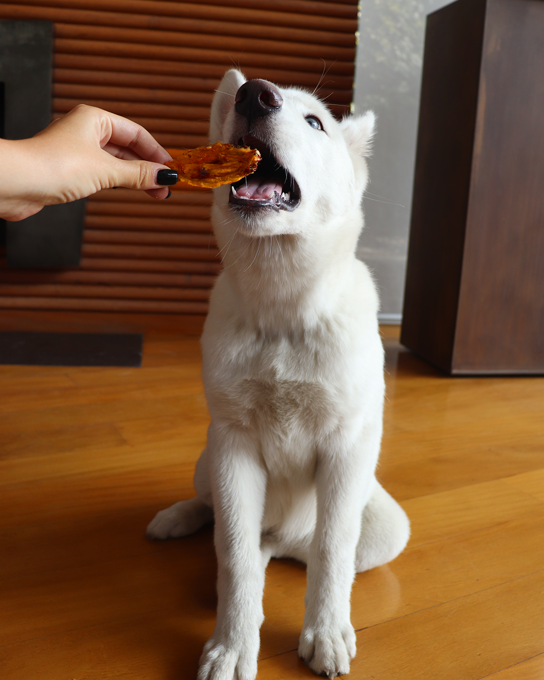 Long Lasting Snacks - Alitas de Pollo (50 unidades)