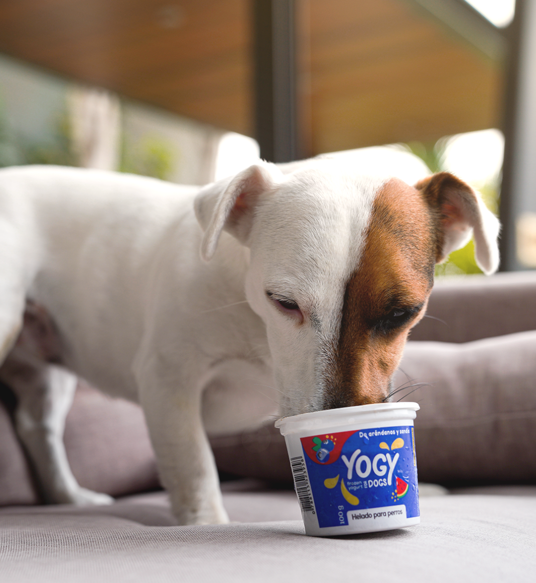 Yogy Arándanos y Sandía