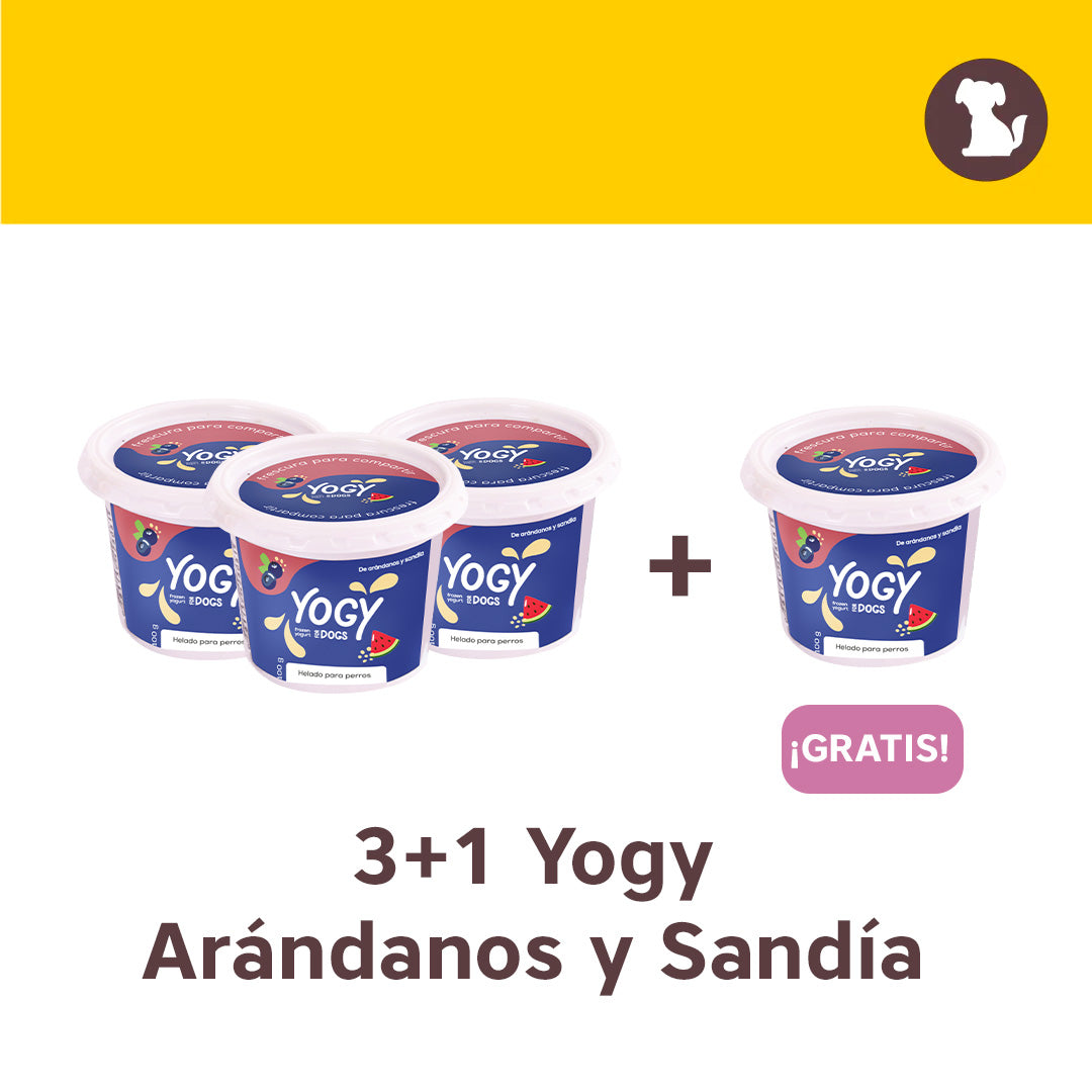 3+1 en Yogy Sandía y Arándanos