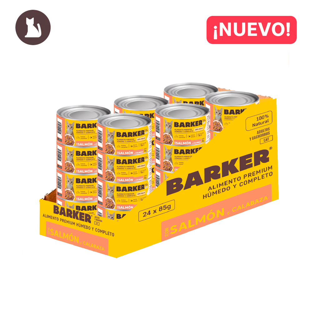 Latas cat (24-Pack) Salmón y Calabaza